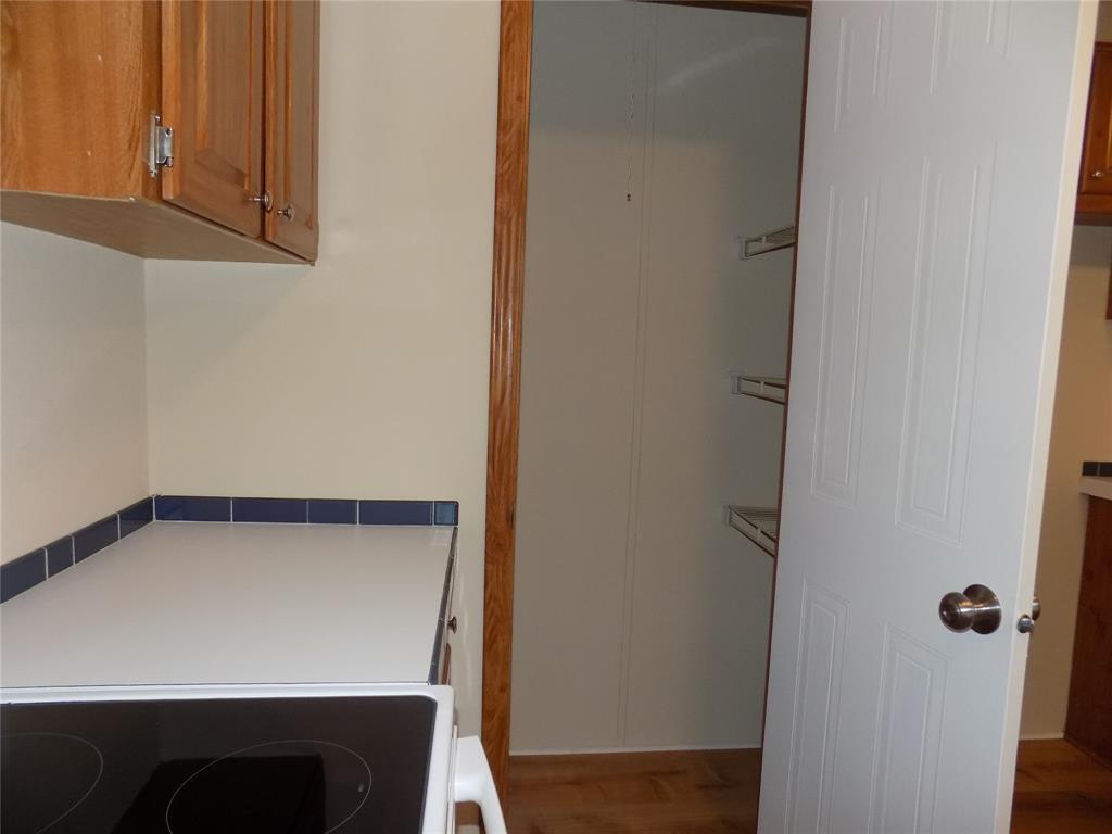 3450 Sarra Lane Springtown, TX 76082 - Photo 8 of 23 View of kitchen pantry.