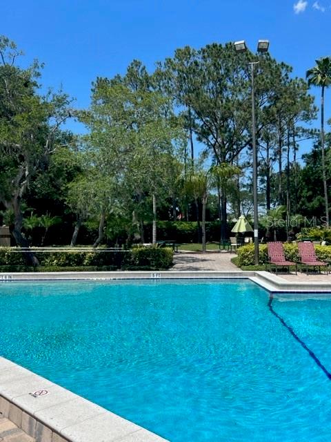 7757 Sugar Bend Drive, Unit 7757 Orlando, FL 32819 - Photo 28 of 30 a view of a swimming pool with lawn chairs and plants