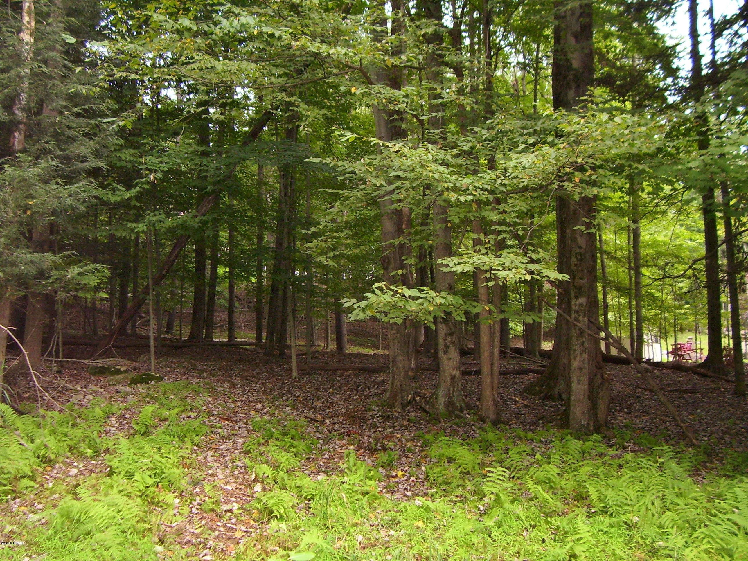 161-162 Bear Rock Road Lake Ariel, PA 18436 - Photo 2 of 17