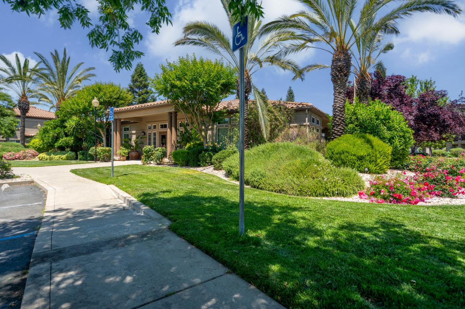 4200 East Commerce Way, Unit 1611 Sacramento, CA 95834 - Photo 27 of 39 a view of a house with a big yard plants and palm trees