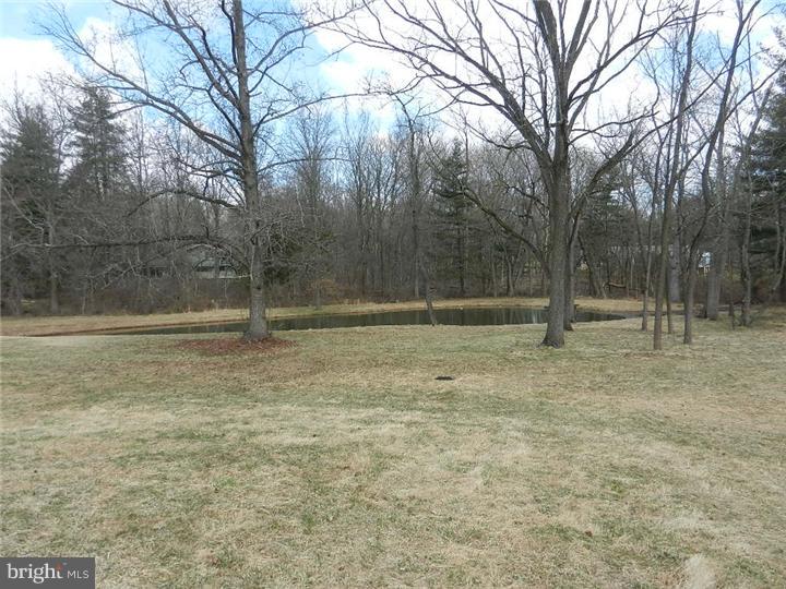 124 Plymouth Road Ambler, PA 19002 - Photo 3 of 25 Lake / Pond