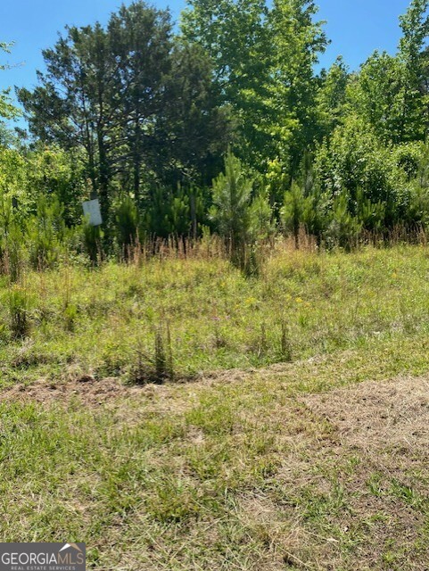 1730 North Walker's Mill Road Griffin, GA 30223 - Photo 3 of 6