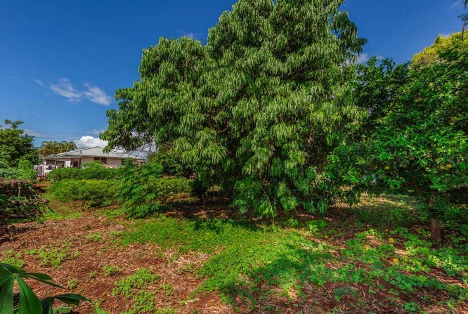 4834 Moi Road Hanapepe, HI 96716 - Photo 11 of 15 Gallery Image 11