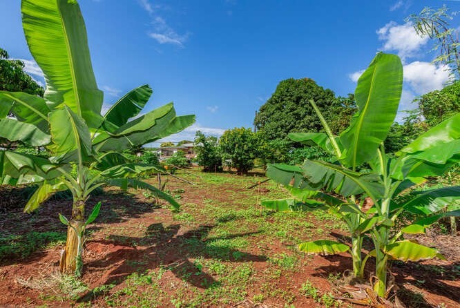 4834 Moi Road Hanapepe, HI 96716 - Photo 13 of 15 Gallery Image 13