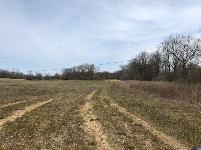 10000 Jackson Road Dexter, MI 48130 - Photo 6 of 12 Photo 6