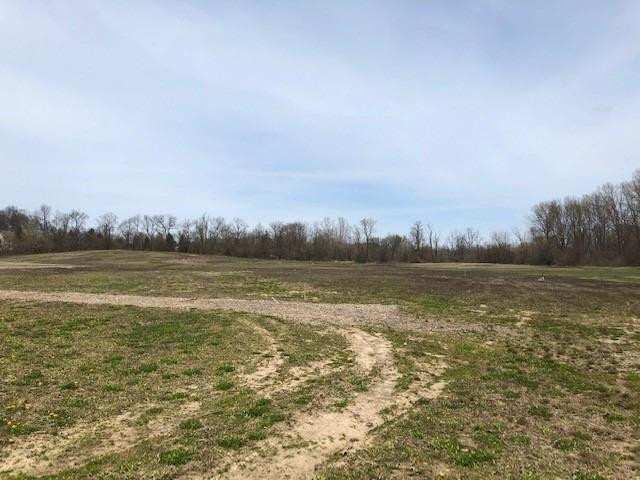 10000 Jackson Road Dexter, MI 48130 - Photo 8 of 12 Photo 8