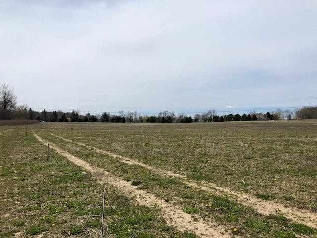 10000 Jackson Road Dexter, MI 48130 - Photo 10 of 12 Photo 10