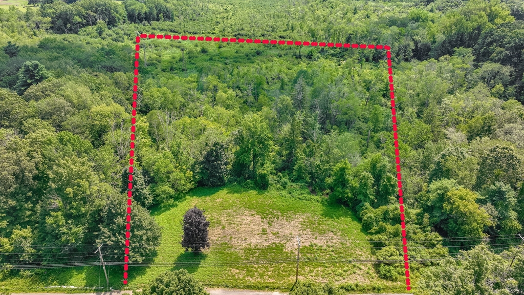 a view of a flower garden