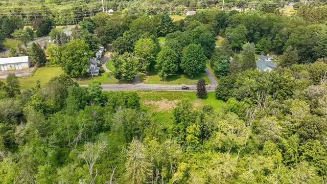 a view of a lush green forest with trees and some houses