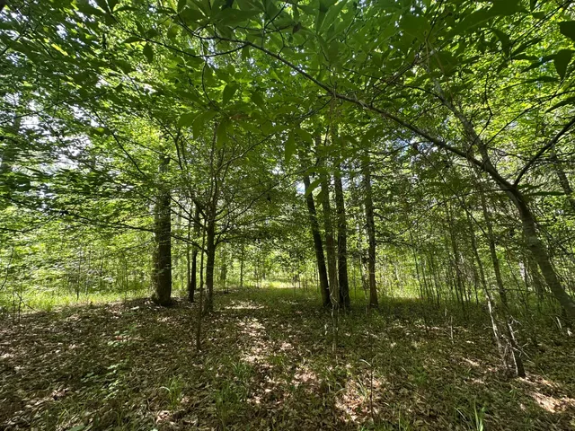 $23,000 | Lot 11 South Pointe Drive, Tignall, GA 30668