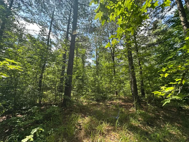 $23,000 | Lot 11 South Pointe Drive, Tignall, GA 30668