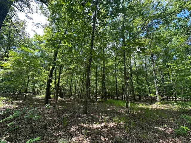 $23,000 | Lot 11 South Pointe Drive, Tignall, GA 30668