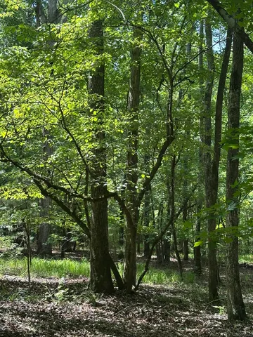 $23,000 | Lot 11 South Pointe Drive, Tignall, GA 30668