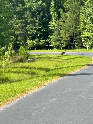 $23,000 | Lot 11 South Pointe Drive, Tignall, GA 30668