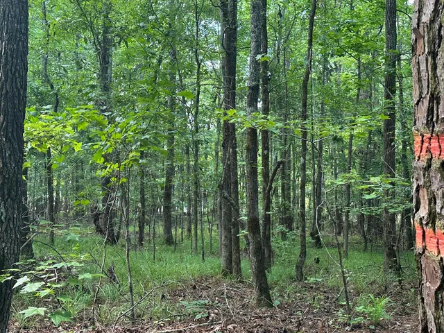 $23,000 | Lot 11 South Pointe Drive, Tignall, GA 30668