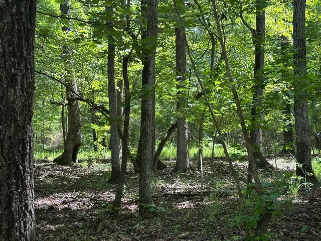 $23,000 | Lot 11 South Pointe Drive, Tignall, GA 30668