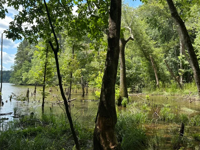 $23,000 | Lot 11 South Pointe Drive, Tignall, GA 30668