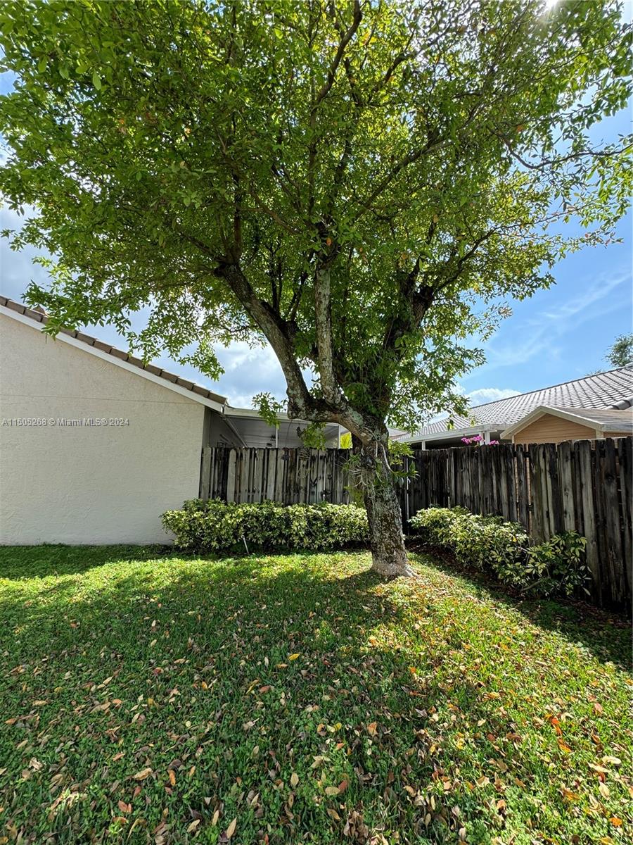 19232 Northwest 88th Place Hialeah, FL 33018 - Photo 53 of 61 a view of backyard of house with green space