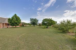 3036 Falcon Road Prosper, TX 75078 - Photo 5 of 20 Expansive lawn with mature trees and established shrubbery