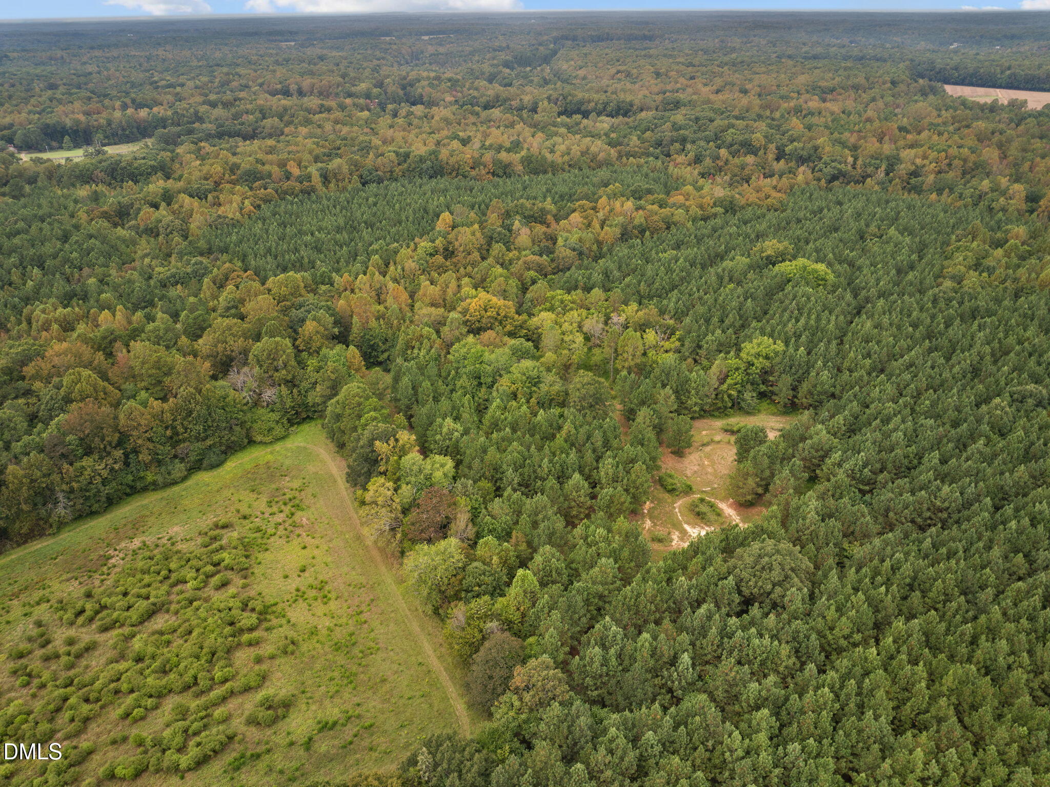 3 Wolf Tree Way Efland, NC 27243 - Photo 23 of 32 a view of a yard