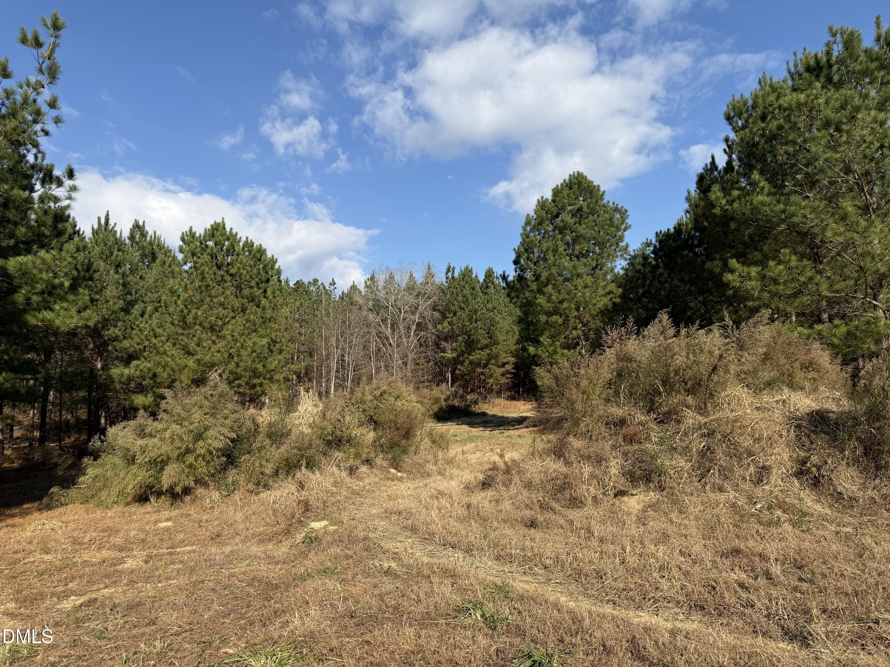 3 Wolf Tree Way Efland, NC 27243 - Photo 28 of 32 a view of a yard with trees