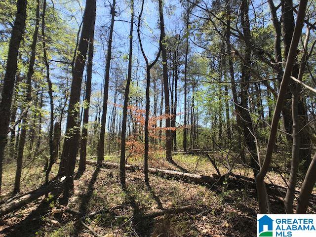O Ridge Road, Unit 10 ACRES Odenville, AL 35120 - Photo 17 of 18 Gallery Image 17