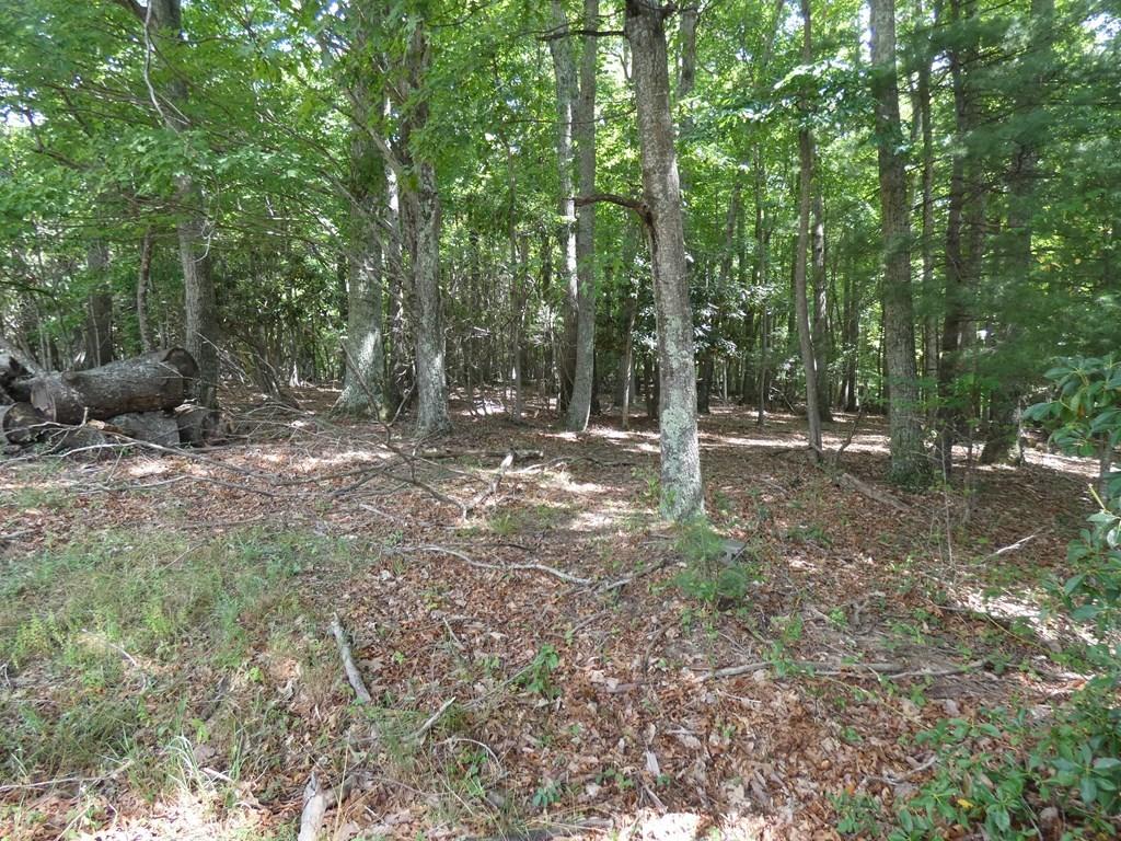 555 Dry Fork Road Chilhowie, VA 24319 - Photo 18 of 25 79664_9