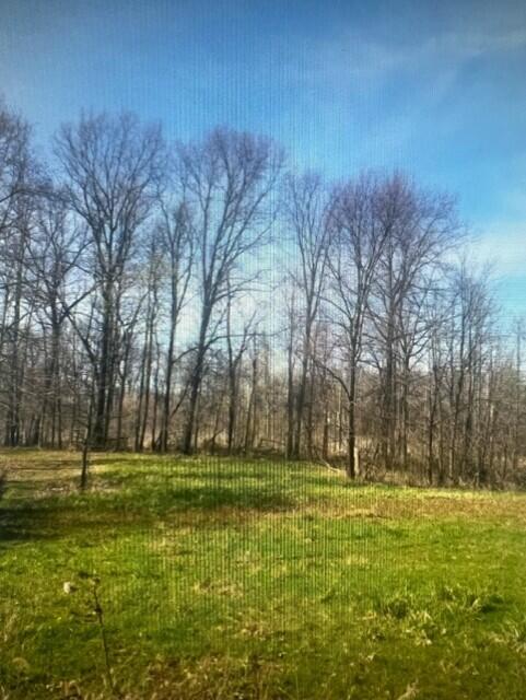 4752 Kalmbach Road Chelsea, MI 48118 - Photo 3 of 13 thumbnail_image6