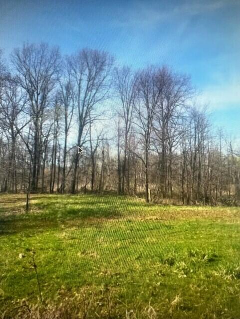 4752 Kalmbach Road Chelsea, MI 48118 - Photo 4 of 13 thumbnail_image4