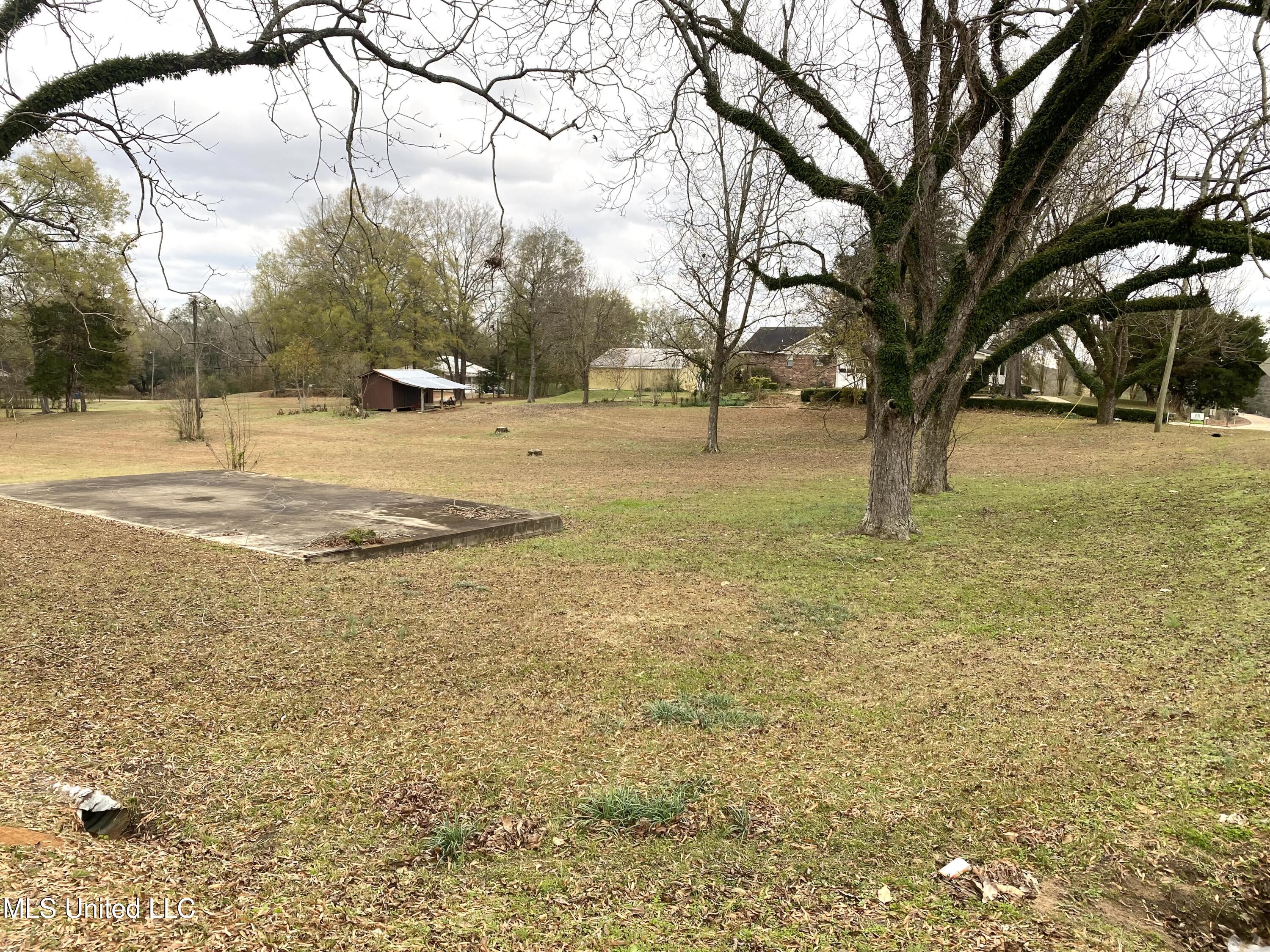 124 Main Street Sebastopol, MS 39189 - Photo 8 of 13 IMG_3154