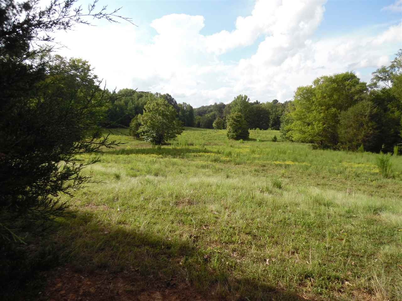 0 Spring Hill Road Sardis, TN 38371 - Photo 1 of 13 a view of an outdoor space with a lake view