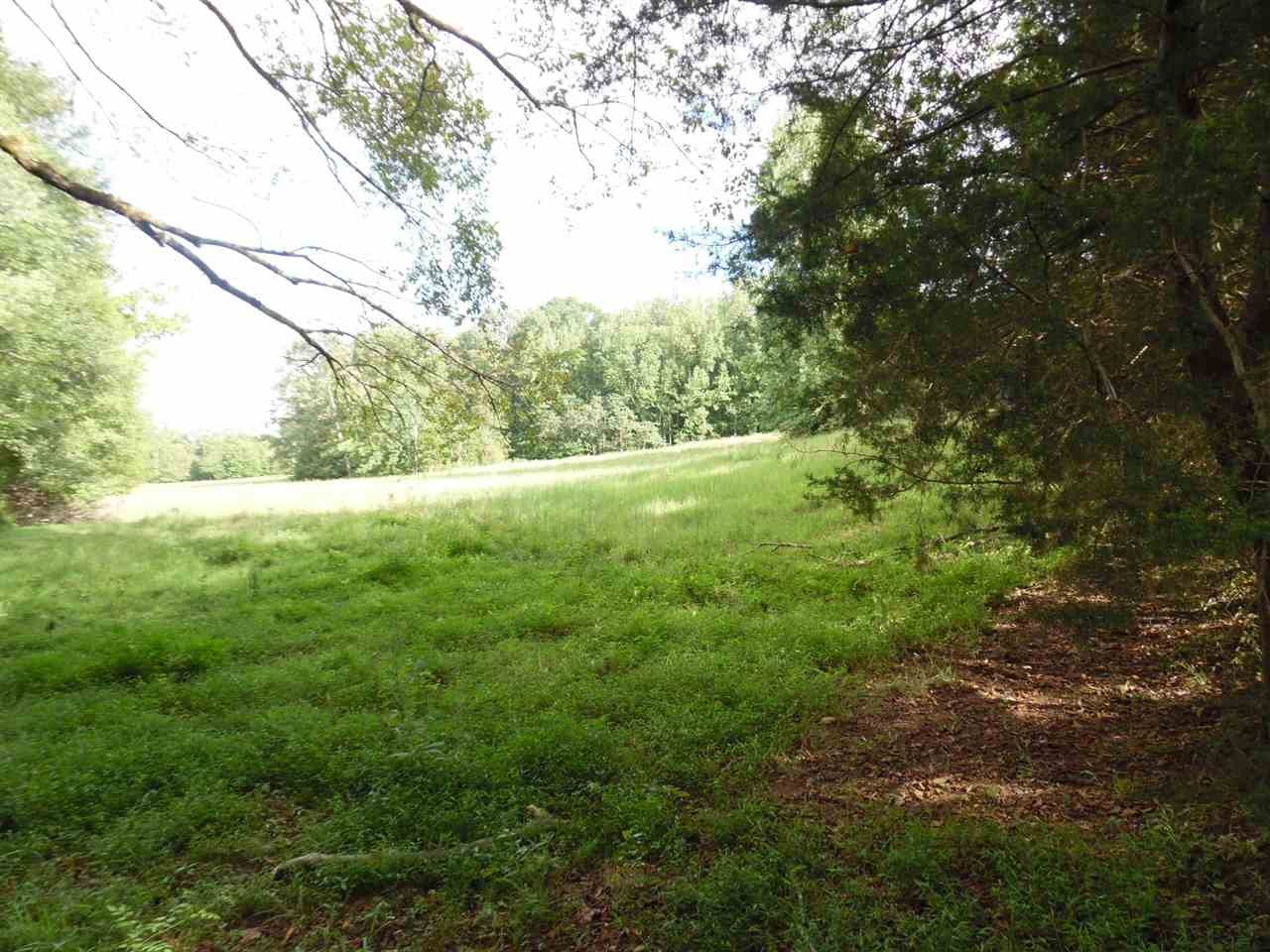 0 Spring Hill Road Sardis, TN 38371 - Photo 2 of 13 a view of yard with green space