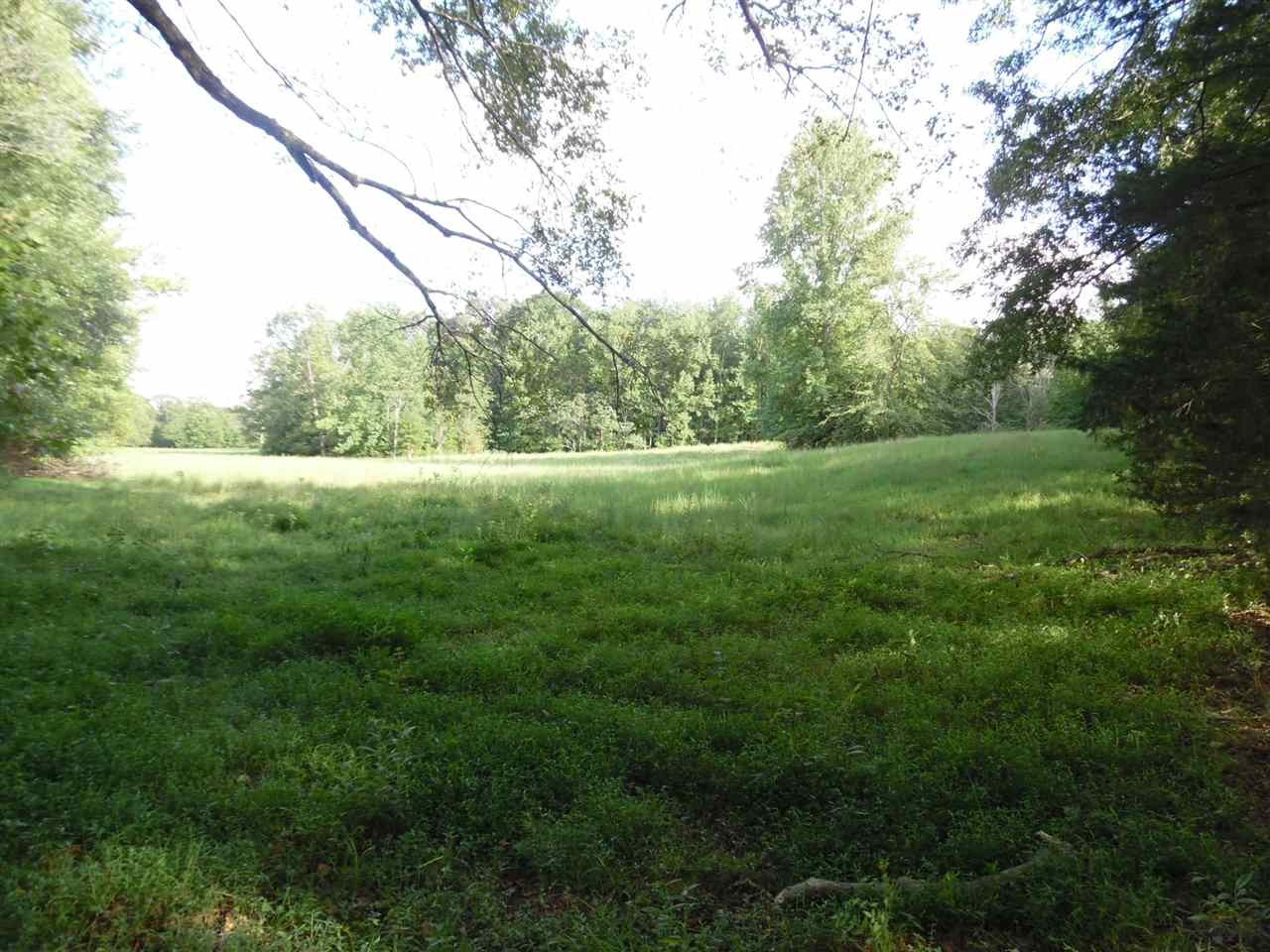 0 Spring Hill Road Sardis, TN 38371 - Photo 4 of 13 a view of outdoor space and yard