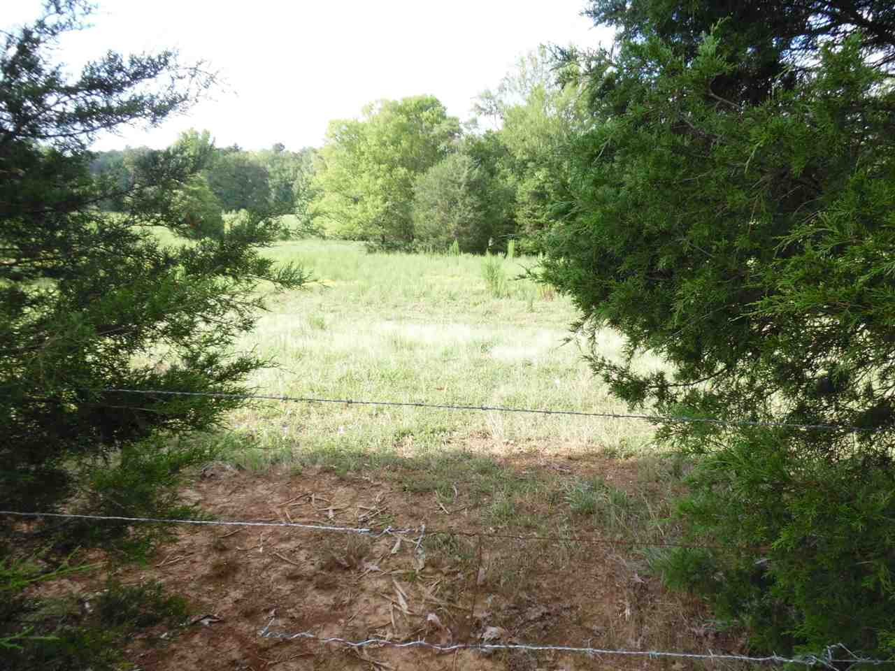0 Spring Hill Road Sardis, TN 38371 - Photo 7 of 13 a view of outdoor space and trees