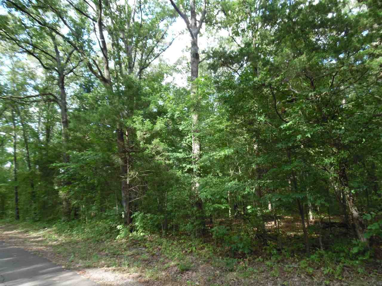0 Spring Hill Road Sardis, TN 38371 - Photo 8 of 13 a view of a lush green forest