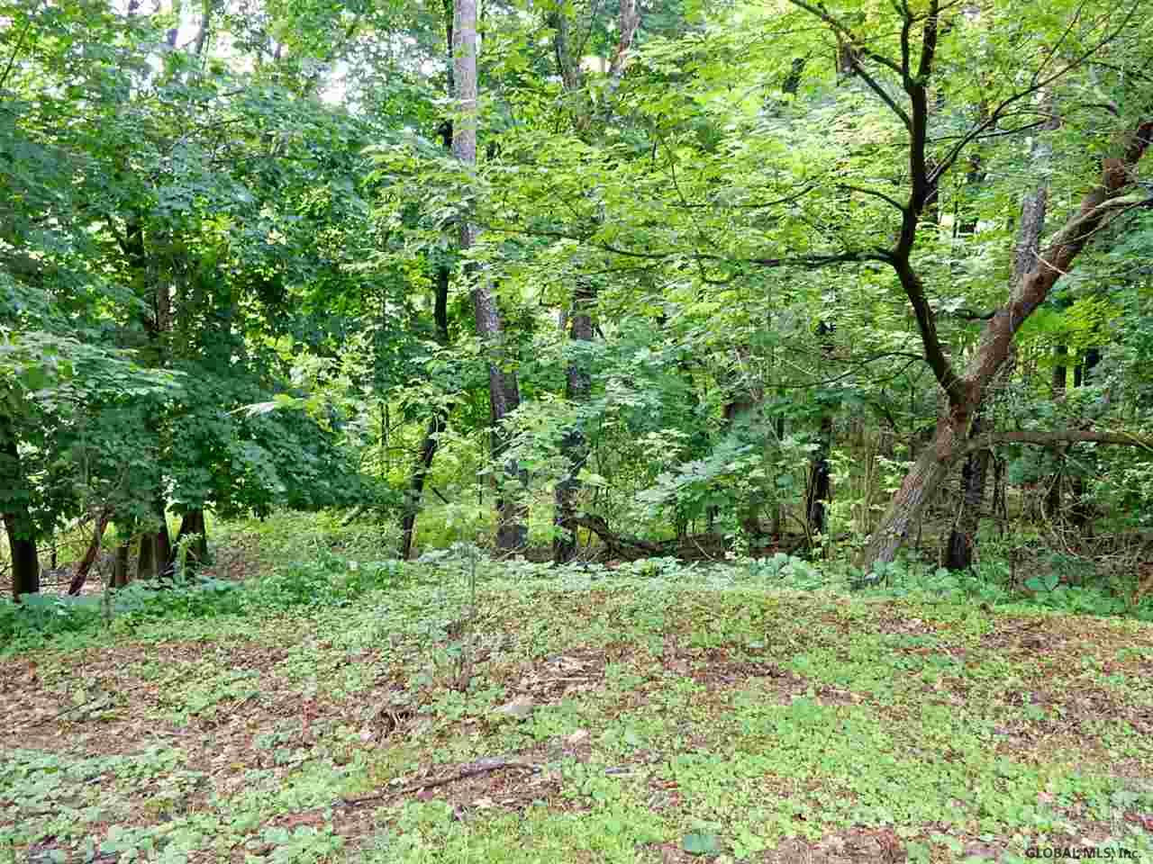1060 Hoosick Road Brunswick, NY 12180 - Photo 4 of 13 Photo 4