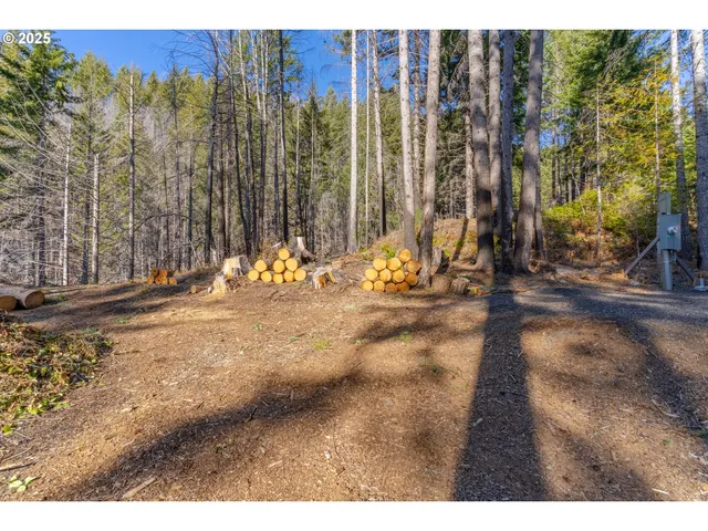 a view of outdoor space with city view