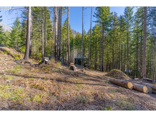 $247,000 | 135 Weber Street, Detroit, OR 97342