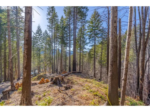 a view of outdoor space with city view