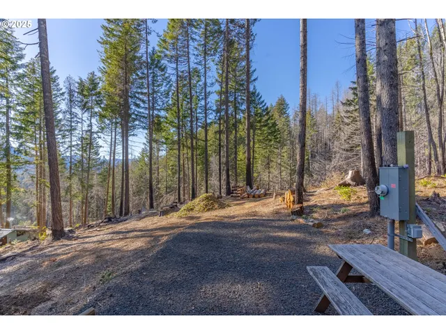 $247,000 | 135 Weber Street, Detroit, OR 97342