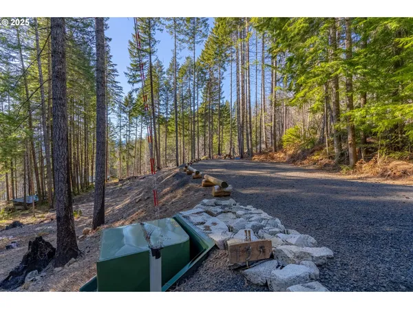 a view of a city with tall trees
