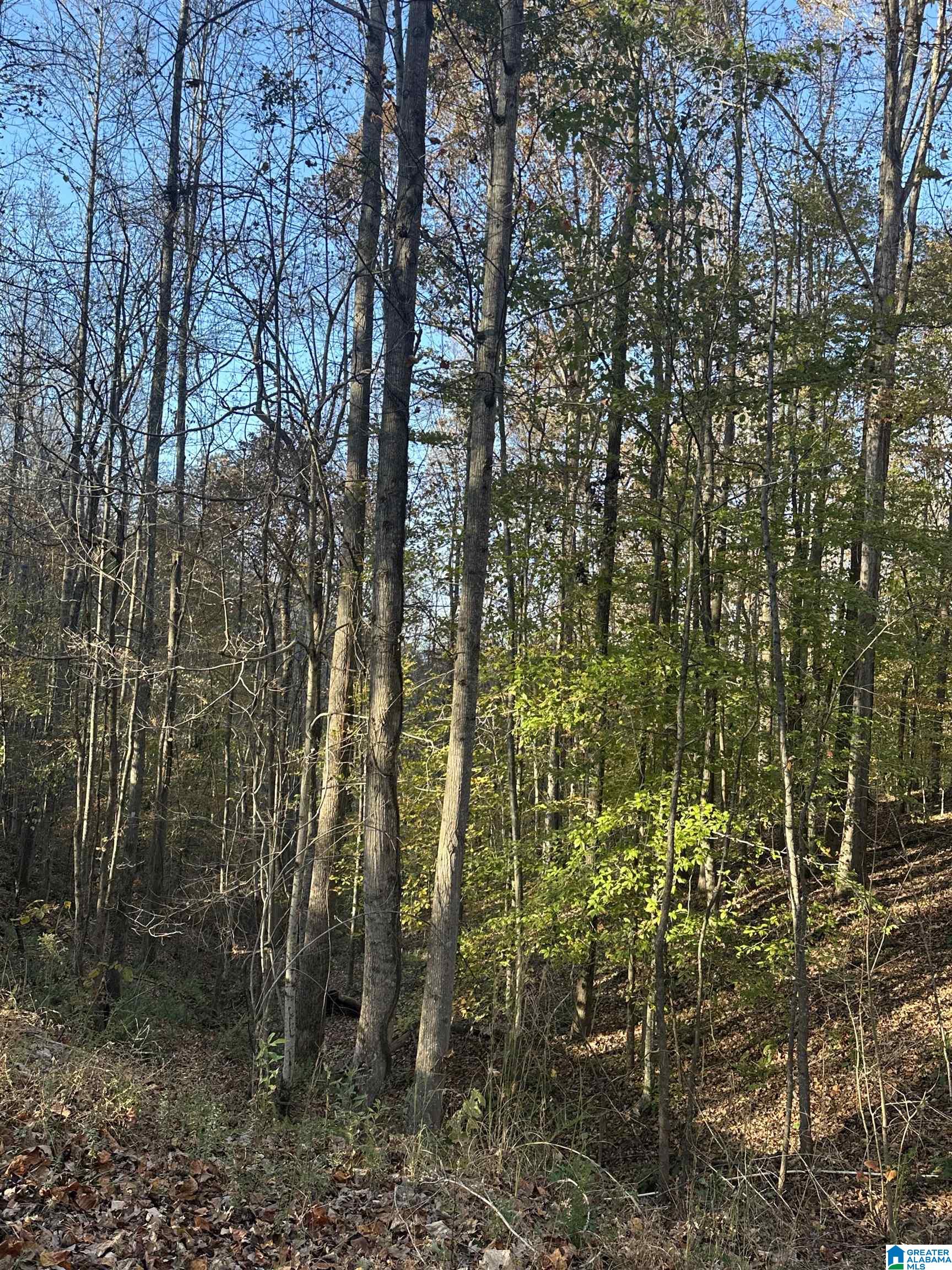 526 County Road 125 Heflin, AL 36264 - Photo 76 of 83