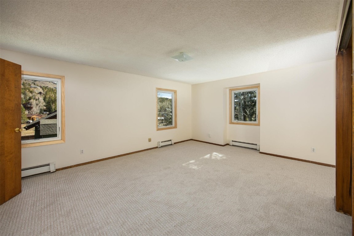 420 Reese Road Silverthorne, CO 80498 - Photo 16 of 50 an empty room with windows and closet