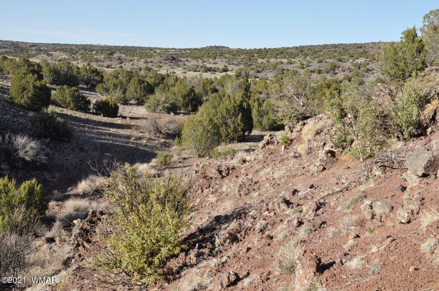 21-22 County Road Concho, AZ 85924 - Photo 11 of 25