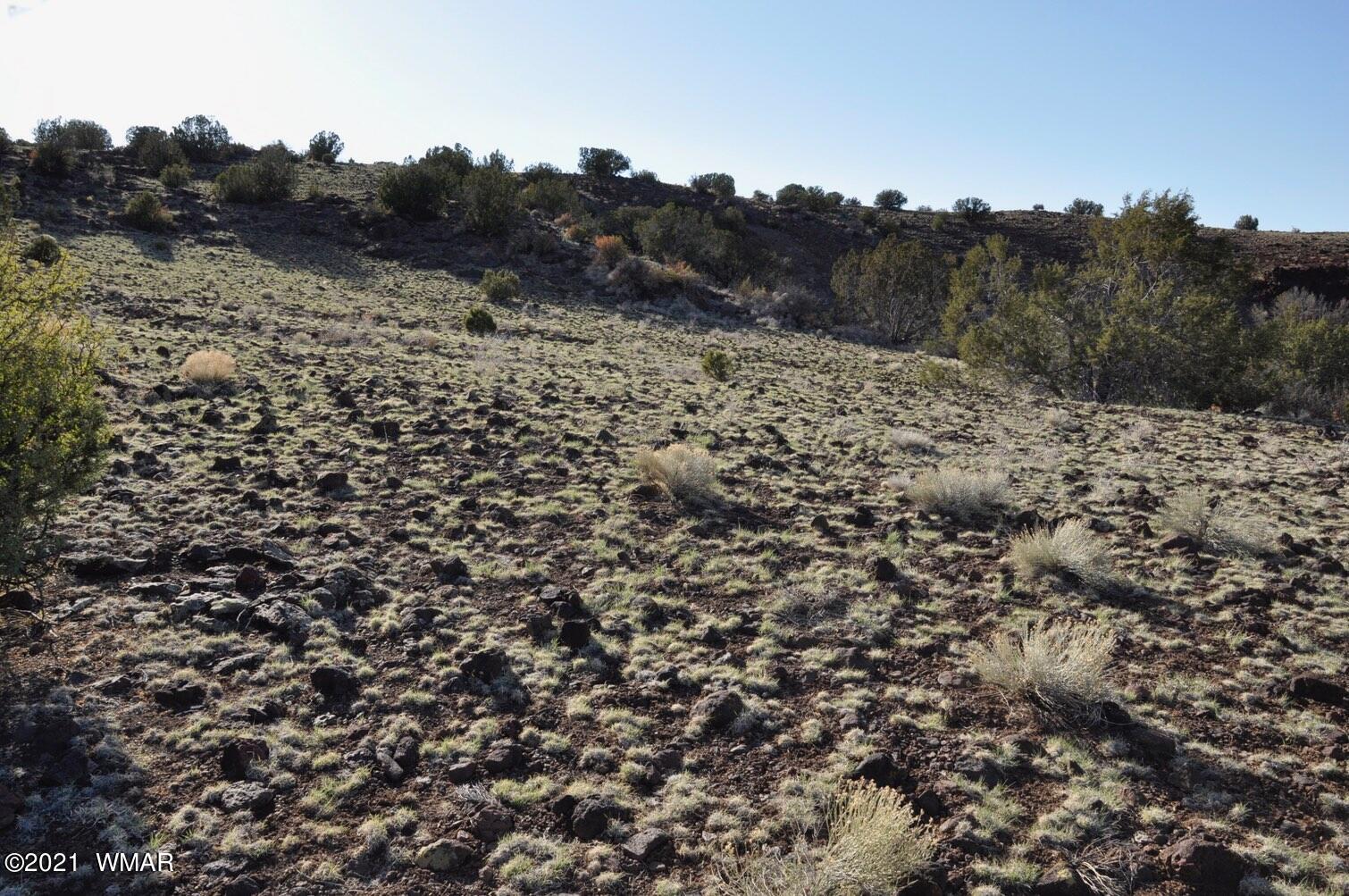 21-22 County Road Concho, AZ 85924 - Photo 12 of 25