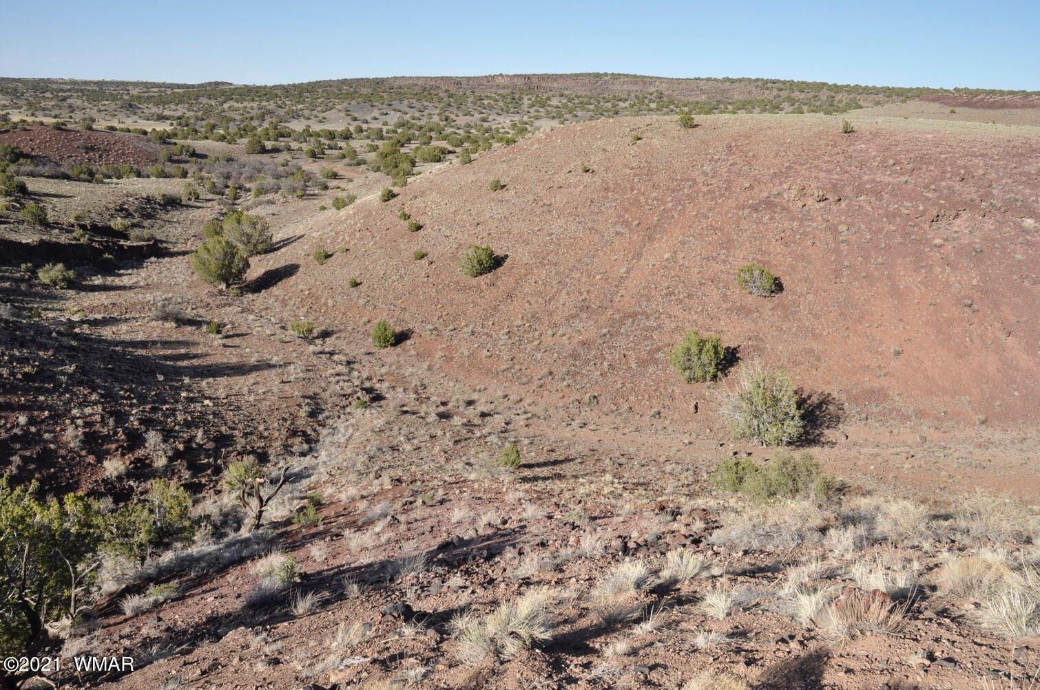 21-22 County Road Concho, AZ 85924 - Photo 13 of 25