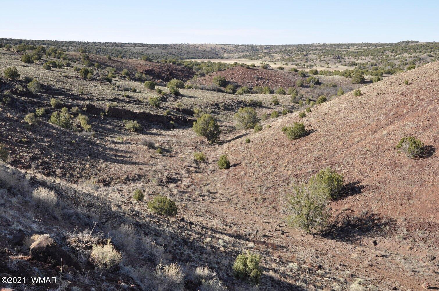 21-22 County Road Concho, AZ 85924 - Photo 15 of 25