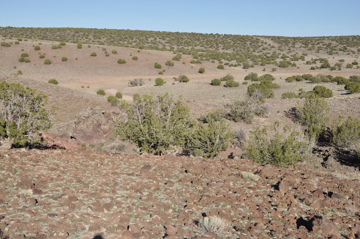 21-22 County Road Concho, AZ 85924 - Photo 17 of 25