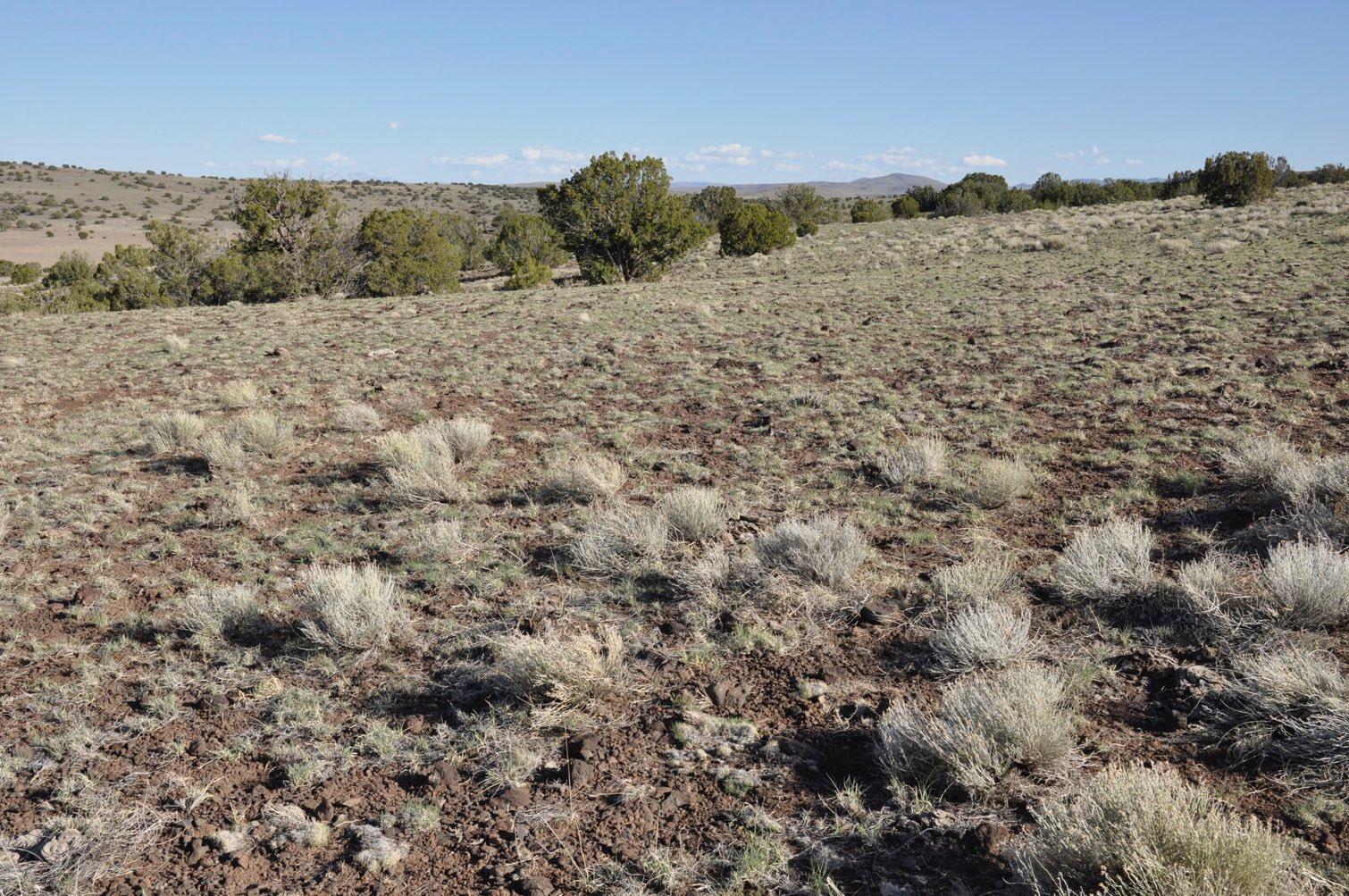 21-22 County Road Concho, AZ 85924 - Photo 18 of 25
