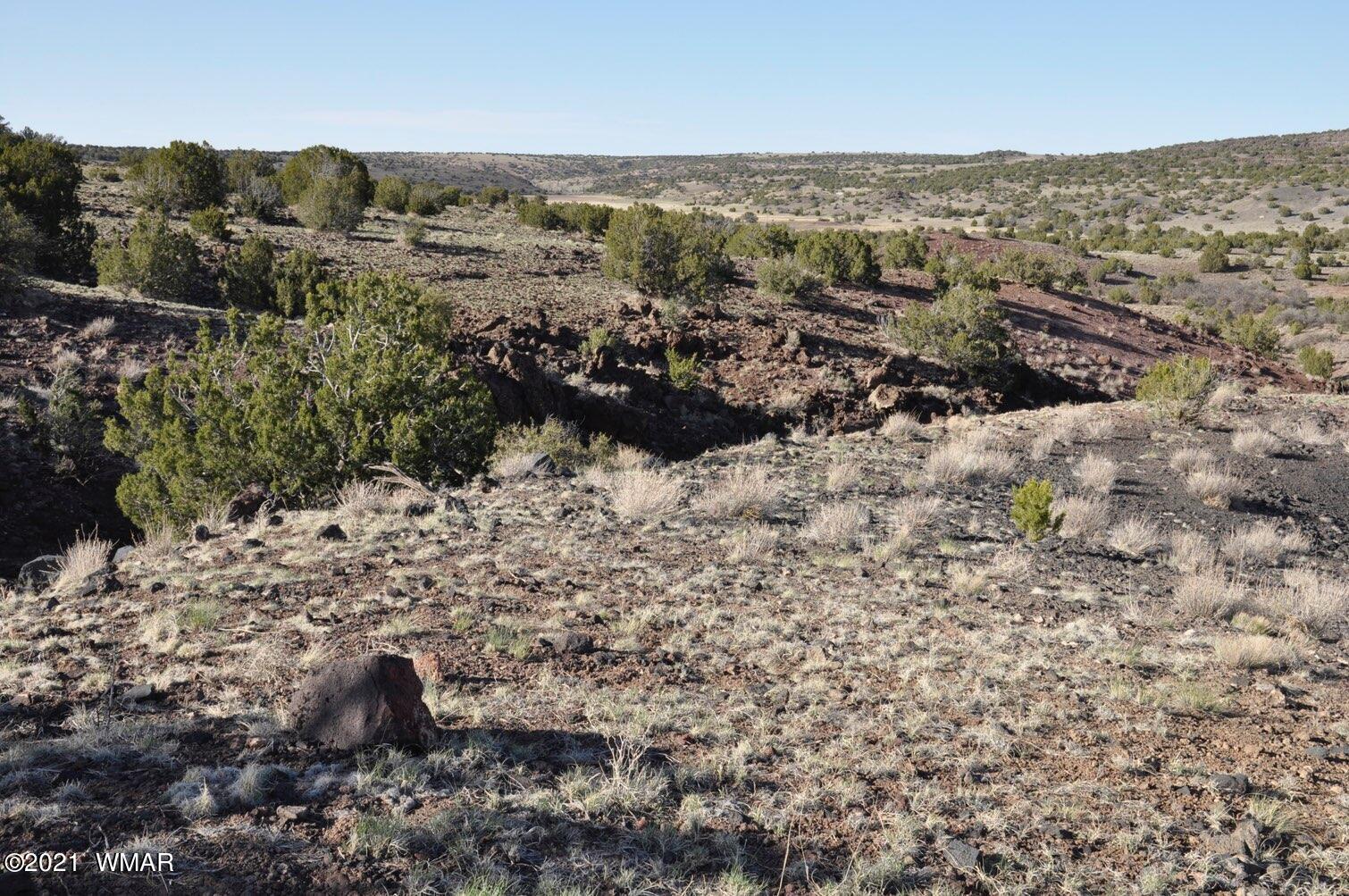 21-22 County Road Concho, AZ 85924 - Photo 19 of 25